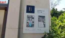 何家四房爆料视频大全下载,爆料视频大全深度解析