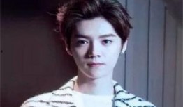 圈内人爆料鹿晗的关系,圈内人爆料背后的故事