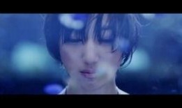 武藤在线观看,揭秘热血动漫的激情与梦想